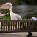 고양이 쉼터 이미지