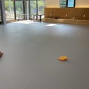 헤이, 댕댕 이미지