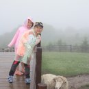 상민목장 이미지