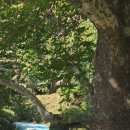 모리아 지역아동센터 이미지