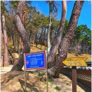 힐링산책코스 | 김천 직지사 다녀온 후기｜조용한 힐링 산책 코스 추천 (김천 가볼만한곳)