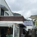 다온펫 | 대전 대덕구 비래동 반려견 대형견 동반 식당 카페 키키펫