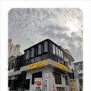 한라산도새기 이미지