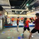 준 복싱클럽 이미지