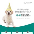 개포동물병원 이미지
