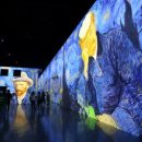 올레청보리민박 이미지