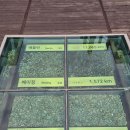 북부스포츠센터 지상1층 화장실 | 파주 가볼만한 곳 임진각 임진각 평화랜드 곤돌라 - 방문후기