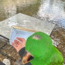 밤골 펜션 이미지