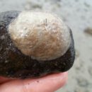 일출여다지 이미지