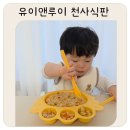 유이앤루이 천사식판 후기 환경호르몬 걱정 없는 코코넛 소재 유아식판 추천