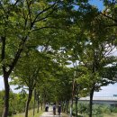 미사강변곤드레밥집 이미지