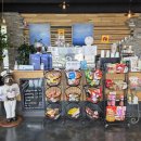 반디별 펜션 | [반디빌리지] 가평애견펜션추천 가족여행 반디빌리지 BOB 솔직후기