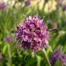 감송한의원 이미지