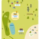 나는숲이다 | 홍천 l 나는 숲이다 _ 진짜 숲캉스! 반딧불이체험과 불멍 마이리얼트립체험후기