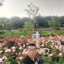 장미원 당구장 이미지