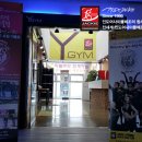 Y-GYM 이미지