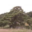 한국3M연구소 3 이미지