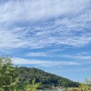 17.중부팬더 이미지