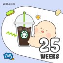 쌍둥중기센타 | [쌍둥임신일기:25주] 또 한 주가 지나가네 (25주 증상, 산후도우미 예약, 임산부 식단, 임산부 눈 통증)