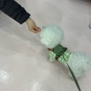 베스티멍 | [여행] 속초 강아지 수제간식집 추천. <베스티멍> 🐾