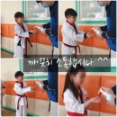 천하 태권도장 이미지