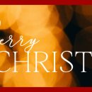 생리통만 없어도 생리 할만한 것 같은데 이미지