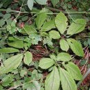 오늘오후 이미지