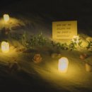 한림리조트 이미지