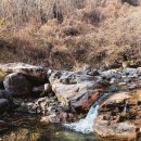 금대에코힐링캠핑장(주차장) 이미지