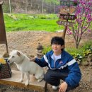강아지마을 네이버블로그