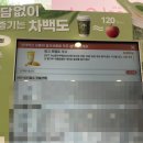 고포차 | [신촌 카페] 차백도 신촌점 | 양쯔간루 망고 포멜로 사고와 피치 자몽 우롱 밀크티 내돈내산 후기