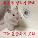 해나레