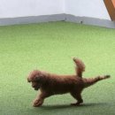 놀러오개 서대문점 이미지