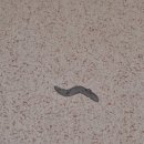 석봉마을5단지 대동아파트 이미지