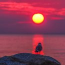 소소한향기 이미지