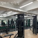 짐파시 이미지