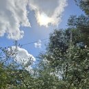 펜션 무이 | 평창 펜션무이 후기, 고요한 자연 속 편안한 하루의 기록🌙