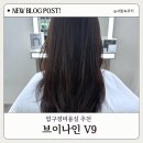 브이 나인 | 압구정 미용실 브이나인 봄맞이 톤다운 염색 후기