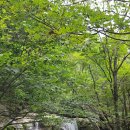 칠림폭포 이미지