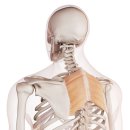 달천한의원 이미지