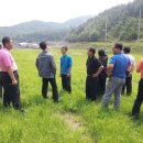 칠량농장 이미지