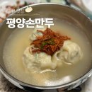 한끼든든 | 일산 맛집 평양손만두 만둣국으로 든든한 한 끼 (포장 후기)