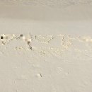 워터벨리 이미지