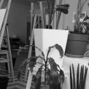 연빈화실 이미지