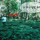 석권농장 이미지