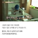 똘이농장 이미지