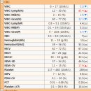 죽전예담동물병원 이미지