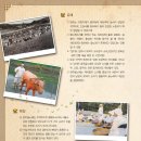 오산시 종합운동장 이미지