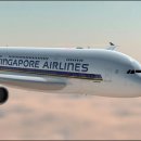 기내항공여행사 이미지