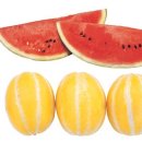 닥터보청기 이미지